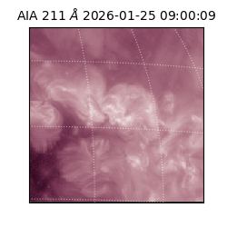 saia - 2026-01-25T09:00:09.632000