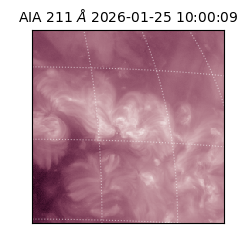 saia - 2026-01-25T10:00:09.631000