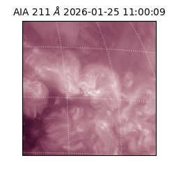 saia - 2026-01-25T11:00:09.631000