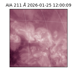 saia - 2026-01-25T12:00:09.625000