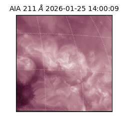 saia - 2026-01-25T14:00:09.632000