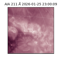 saia - 2026-01-25T23:00:09.632000