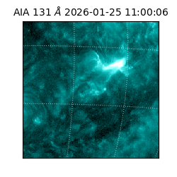 saia - 2026-01-25T11:00:06.622000