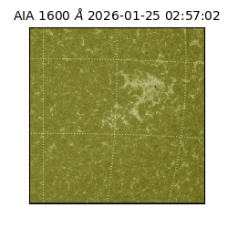 saia - 2026-01-25T02:57:02.125000