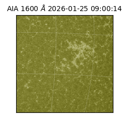 saia - 2026-01-25T09:00:14.126000