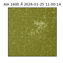 saia - 2026-01-25T11:00:14.129000