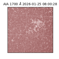 saia - 2026-01-25T08:00:28.717000