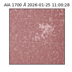 saia - 2026-01-25T11:00:28.718000