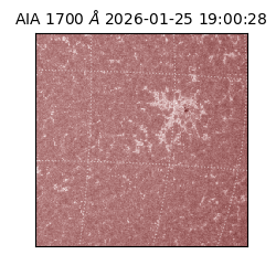 saia - 2026-01-25T19:00:28.738000