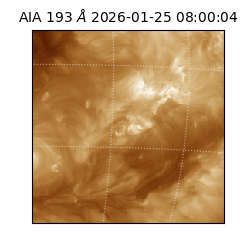 saia - 2026-01-25T08:00:04.843000