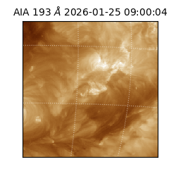 saia - 2026-01-25T09:00:04.843000