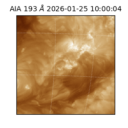 saia - 2026-01-25T10:00:04.843000