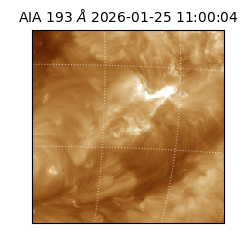 saia - 2026-01-25T11:00:04.842000