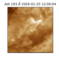 saia - 2026-01-25T12:00:04.838000