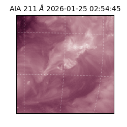 saia - 2026-01-25T02:54:45.626000