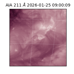 saia - 2026-01-25T09:00:09.632000