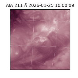 saia - 2026-01-25T10:00:09.631000