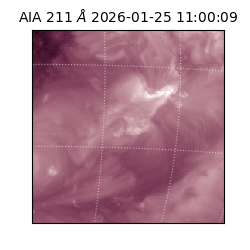 saia - 2026-01-25T11:00:09.631000