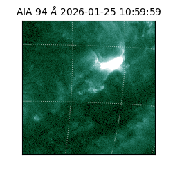 saia - 2026-01-25T10:59:59.123000