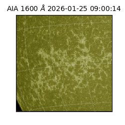 saia - 2026-01-25T09:00:14.126000