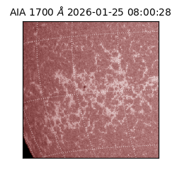 saia - 2026-01-25T08:00:28.717000