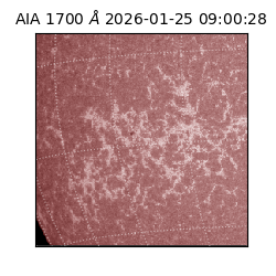 saia - 2026-01-25T09:00:28.717000