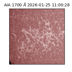 saia - 2026-01-25T11:00:28.718000