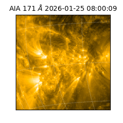 saia - 2026-01-25T08:00:09.351000