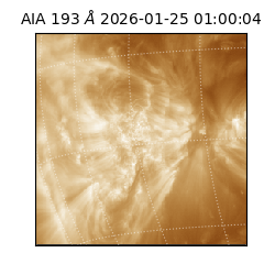 saia - 2026-01-25T01:00:04.843000