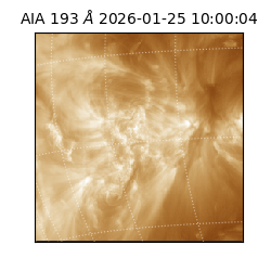 saia - 2026-01-25T10:00:04.843000