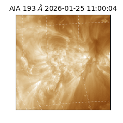 saia - 2026-01-25T11:00:04.842000