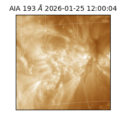 saia - 2026-01-25T12:00:04.838000