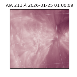 saia - 2026-01-25T01:00:09.626000