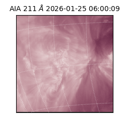 saia - 2026-01-25T06:00:09.625000