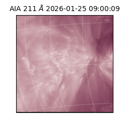 saia - 2026-01-25T09:00:09.632000