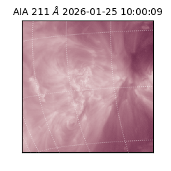 saia - 2026-01-25T10:00:09.631000