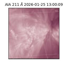 saia - 2026-01-25T13:00:09.633000