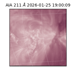 saia - 2026-01-25T19:00:09.634000