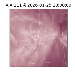 saia - 2026-01-25T23:00:09.632000