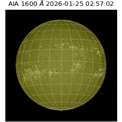 saia - 2026-01-25T02:57:02.125000