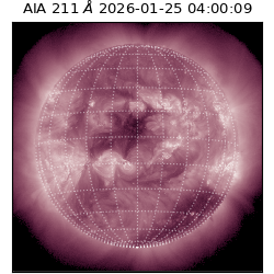 saia - 2026-01-25T04:00:09.626000