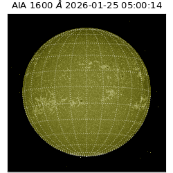 saia - 2026-01-25T05:00:14.132000