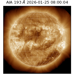 saia - 2026-01-25T08:00:04.843000