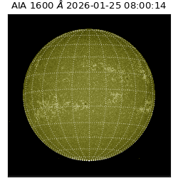 saia - 2026-01-25T08:00:14.131000