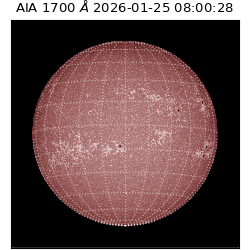 saia - 2026-01-25T08:00:28.717000