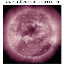 saia - 2026-01-25T09:00:09.632000