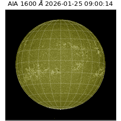 saia - 2026-01-25T09:00:14.126000