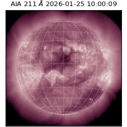 saia - 2026-01-25T10:00:09.631000