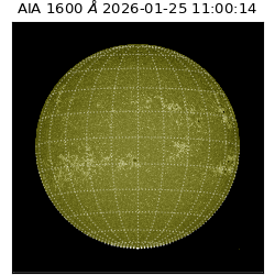 saia - 2026-01-25T11:00:14.129000