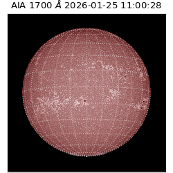 saia - 2026-01-25T11:00:28.718000